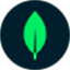 MongoDB Enterprise Advanced logo